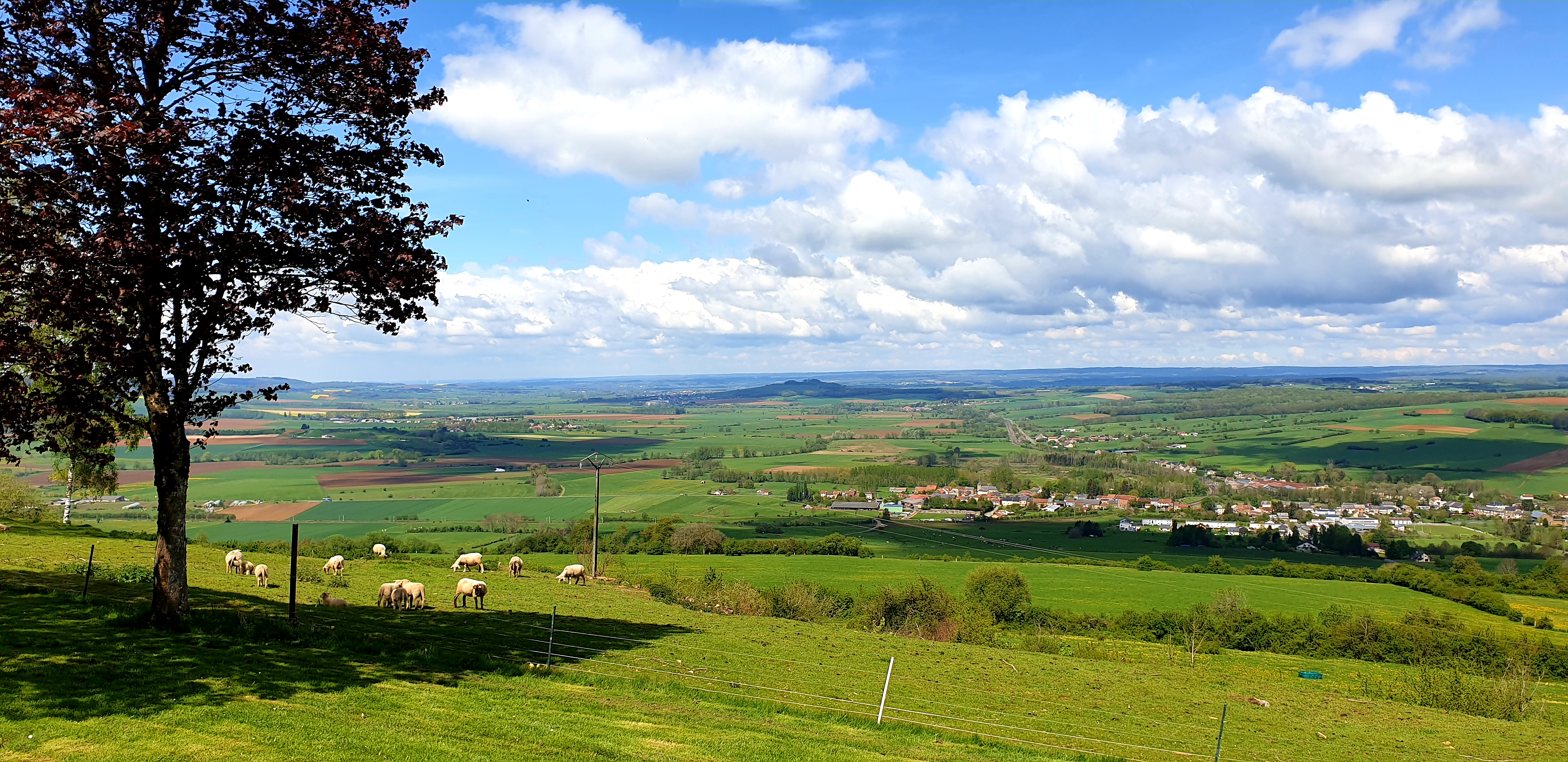 Photo n° 1 de l'avis de Frauke.o fait le 07/08/2019 à 17:20