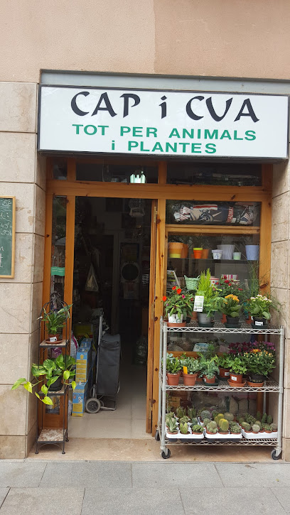 Cap I Cua, Todo para Animales y Plantas - Servicios para mascota en Barcelona