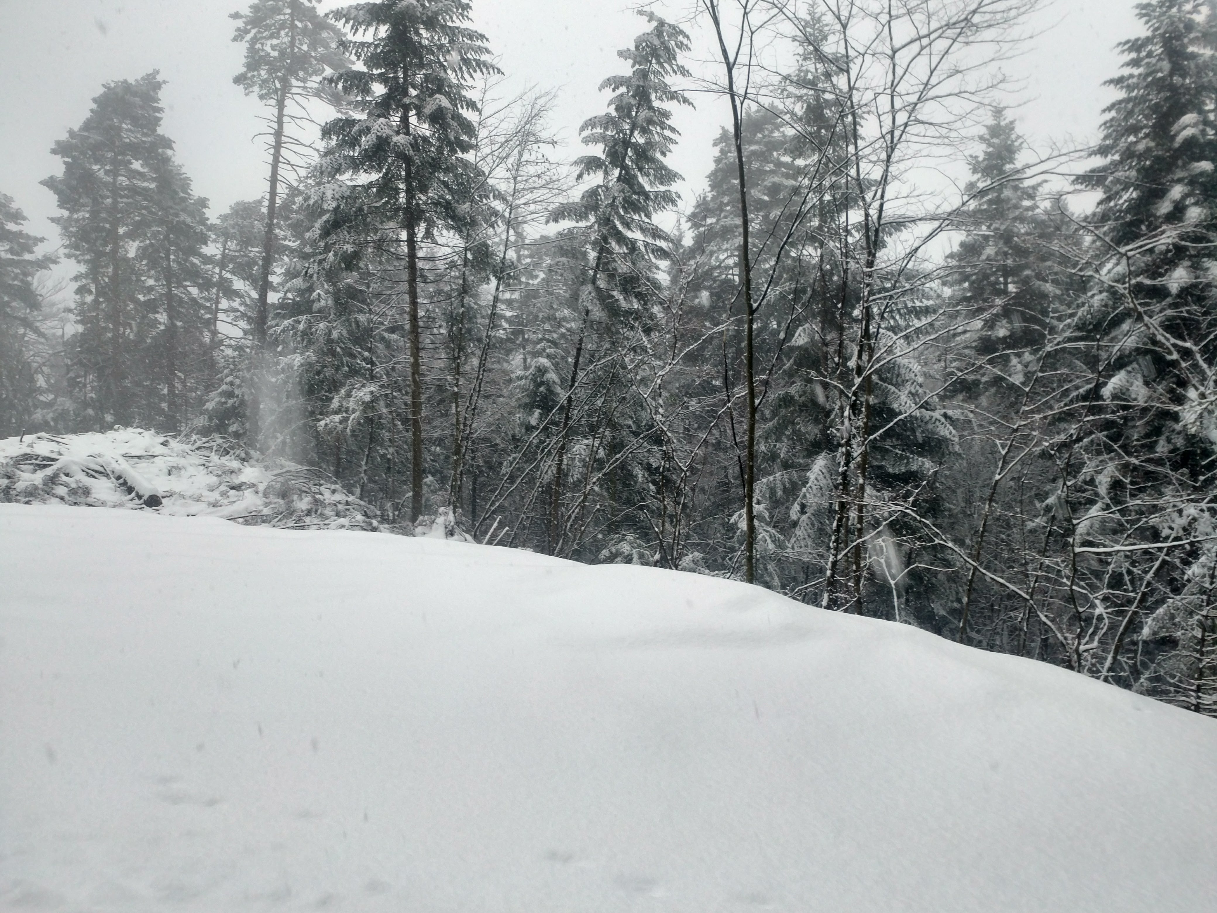 Photo n° 15 de l'avis de Oussem.e fait le 17/03/2018 à 10:58