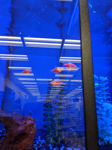 Pet Supply Store «Petco Animal Supplies», reviews and photos, 3464 Towne Blvd, Franklin, OH 45005, USA