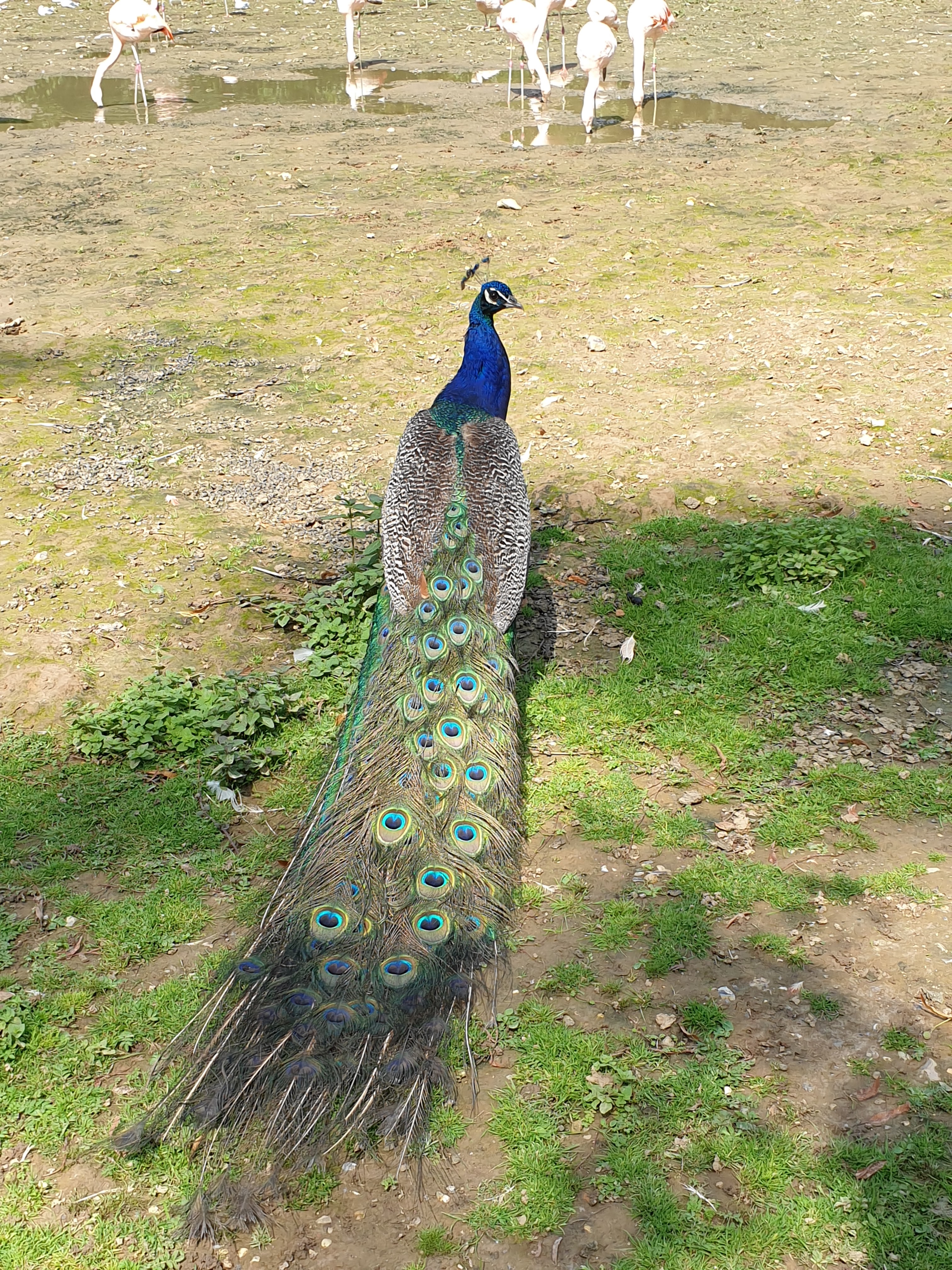 Photo n° 5 de l'avis de Fabienne.e fait le 09/08/2021 à 19:42