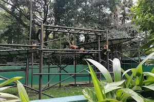 Simón Bolívar Zoo and Botanical Garden image