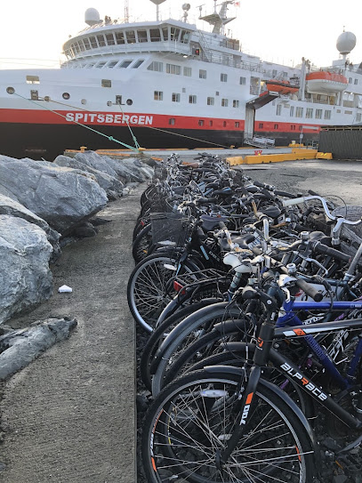 Trondheim Bike Tours / Sykkelguide
