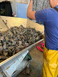 Photo n°20 de La Cabane à Milo Dégustation à Sarzeau ()