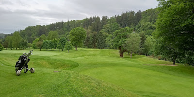 Woodenbridge Golf Club