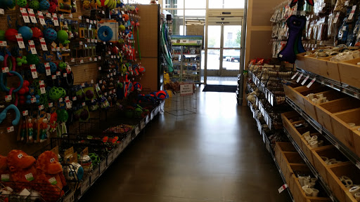 Pet Supply Store «Pet Supplies Plus», reviews and photos, 400 Lowell Ave Suite 14, Haverhill, MA 01832, USA