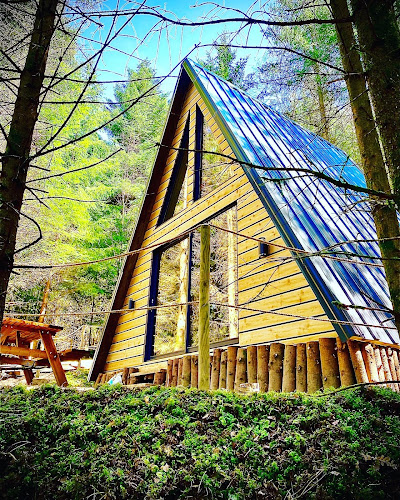 Cabanes dans les arbres Vosges | Saveurs Vosgiennes | Gérardmer à Le Syndicat