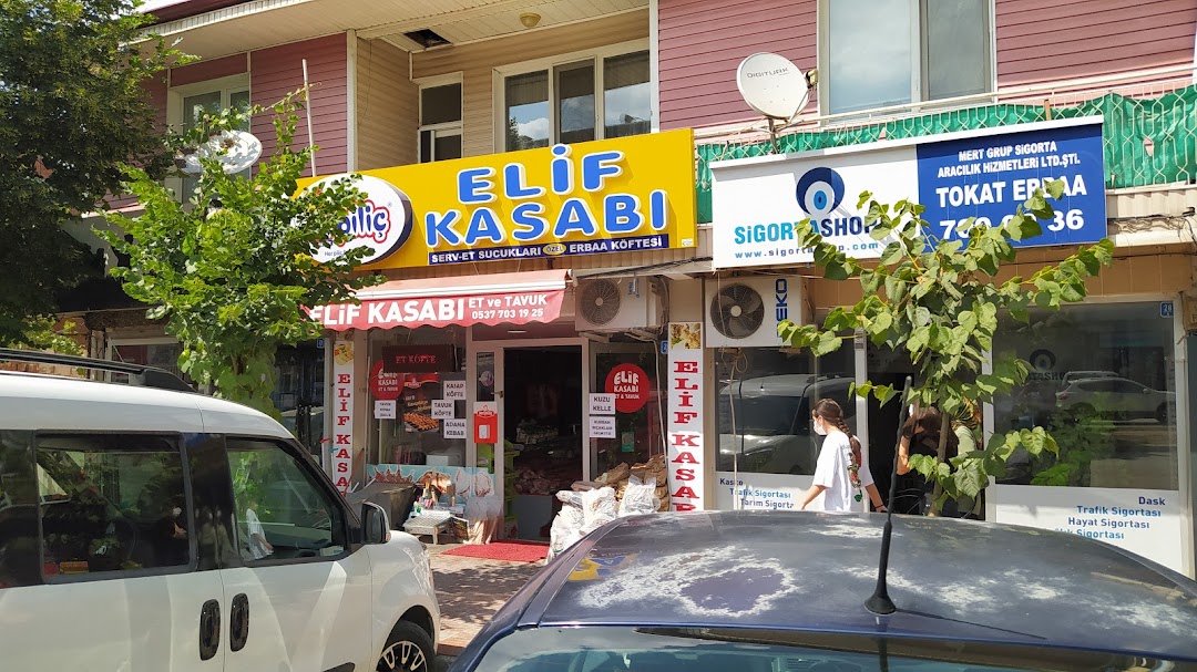 Elif Kasab