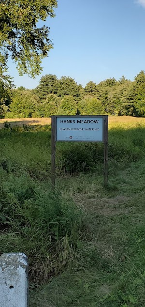 Hanks Meadow - photo 7