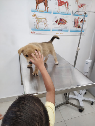 CISAZ (Centro Integral de Salud Animal Zapopan)