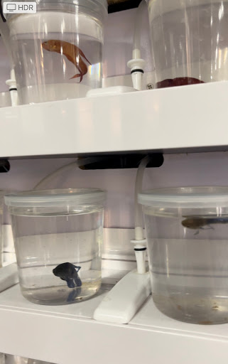 Pet Store «Pet Station Reno», reviews and photos, 5065 S McCarran Blvd, Reno, NV 89502, USA