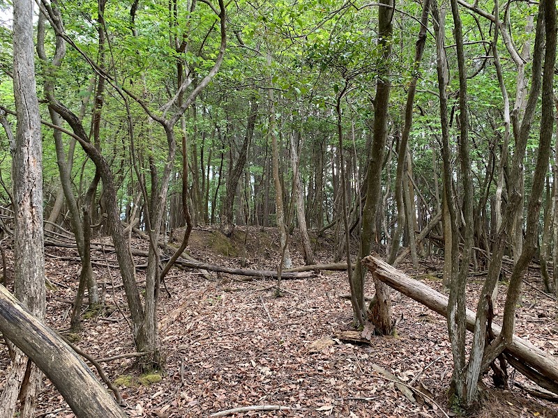 片山城跡