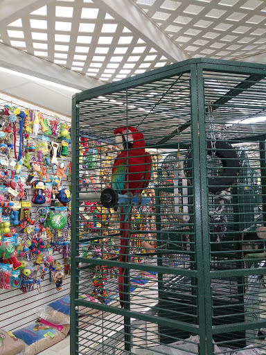 Pet Store «Discount Pet & Supplies», reviews and photos, 16320 Middlebelt Rd, Livonia, MI 48154, USA