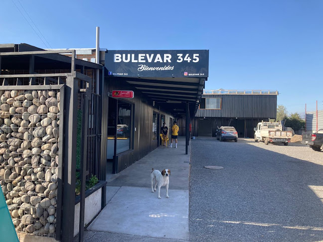 BULEVAR 345 - Olivar