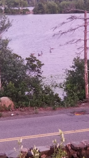 Park «D.W. Field Park», reviews and photos, D W Field Pkwy, Brockton, MA 02301, USA