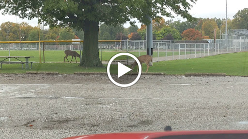 Park «John F. Kennedy Park», reviews and photos, 17095 Sylvia Dr, Brook Park, OH 44142, USA