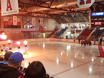 Andrew H. McCain Arena