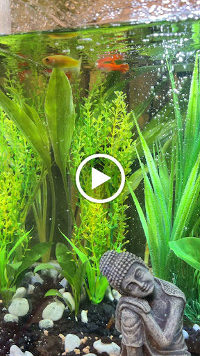 Pet Supply Store «PetSmart», reviews and photos, 2000 Clements Bridge Rd, Woodbury, NJ 08096, USA