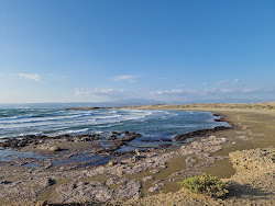 Akrotiri Sand Dunes Beach'in fotoğrafı vahşi alan
