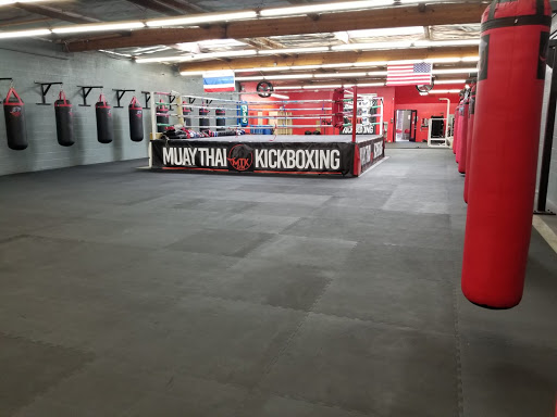 Muay Thai Kickboxing Gym image