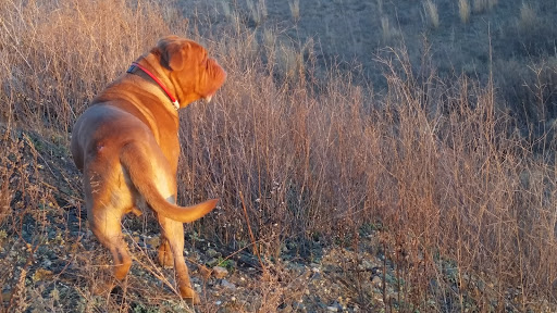 Bowling Alley «Burlington Bowl & Recreation Center», reviews and photos, 4486 US-130, Burlington, NJ 08016, USA