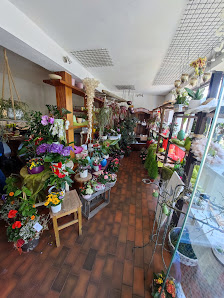 Blumen Egelhof Bahnhofstraße 37, 67590 Monsheim, Deutschland