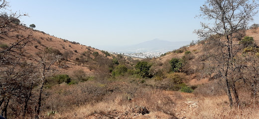 Cerro verde