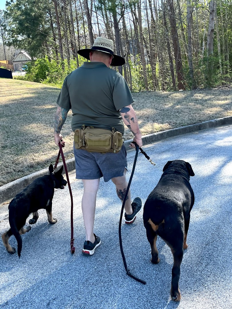 Chain Of Command Dog Training