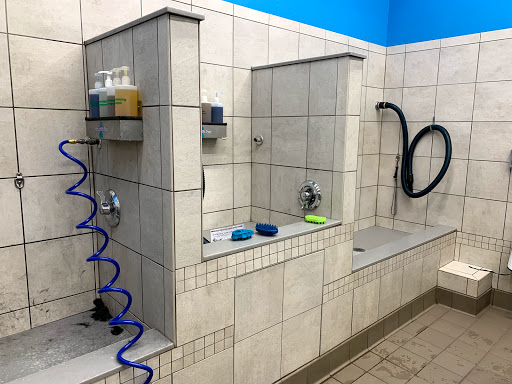 Pet Supply Store «Pet Supplies Plus», reviews and photos, 13360 W 87th St Pkwy, Lenexa, KS 66215, USA