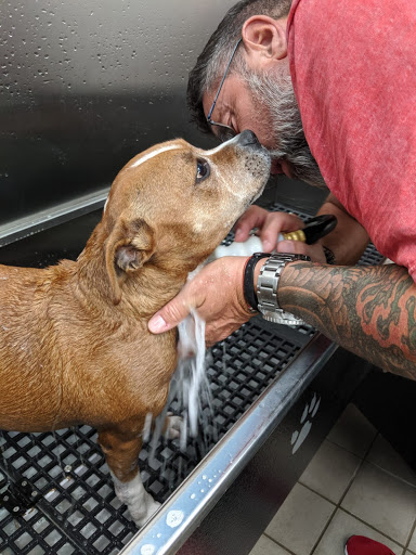 Pet Supply Store «Pet Supplies Plus», reviews and photos, 375 Paterson Ave #105, Wallington, NJ 07057, USA