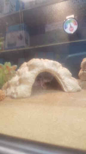 Pet Supply Store «PetSmart», reviews and photos, 5 Hampton House Rd, Newton, NJ 07860, USA