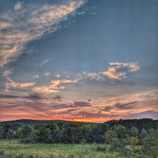 Grocery Store «Market Basket», reviews and photos, 301 Constitution Ave, Littleton, MA 01460, USA