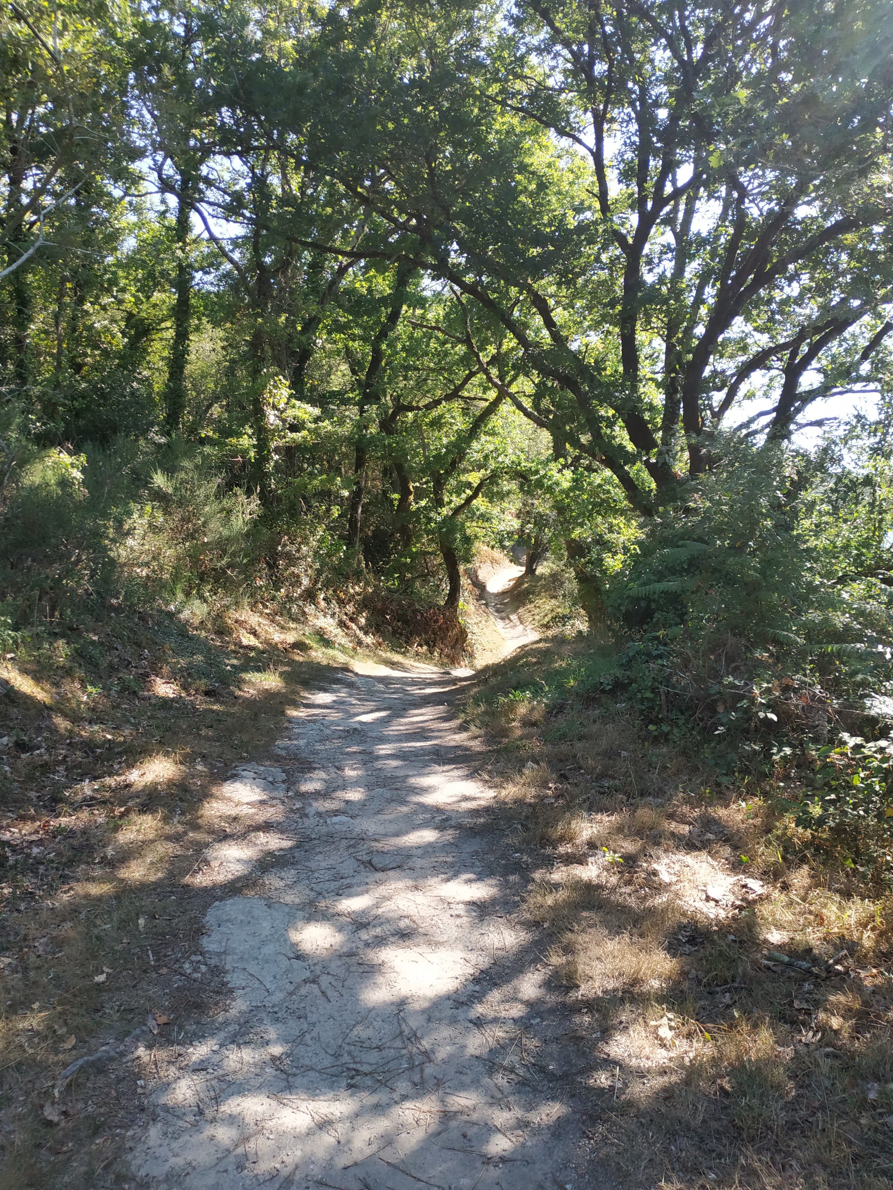 Photo n° 5 de l'avis de laetitia.o fait le 11/07/2022 à 12:46