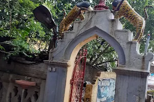Kamakhya Devi Shakti Peeth Mandir image