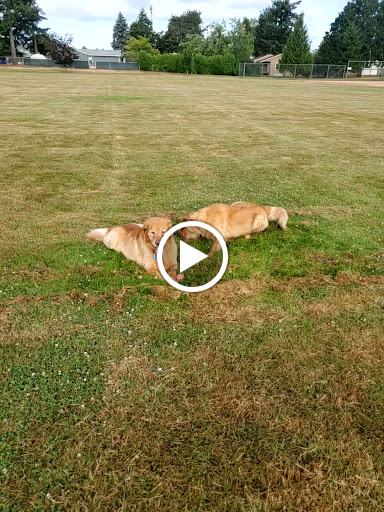 Dog Park «Chapin Park», reviews and photos, 338 Warner Parrott Rd, Oregon City, OR 97045, USA