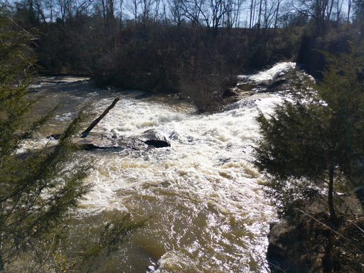 Ice Skating Rink «Pavilion Recreation Complex», reviews and photos, 400 Scottswood Rd, Taylors, SC 29687, USA