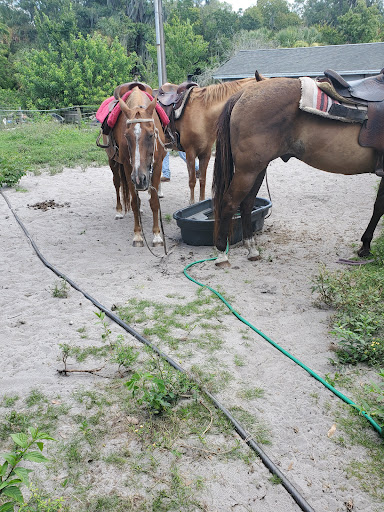 Horseback Riding Service «Horseback Trail Rides», reviews and photos, 1020 Camp Rd, Cocoa, FL 32927, USA
