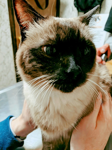 611 Greenfield Ave, Pittsburgh, PA 15207, USA