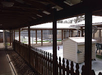 Copeland's Pet Motel & Grooming, Inc. - Photo 4 - Car repair in Mobile, AL, Mobile