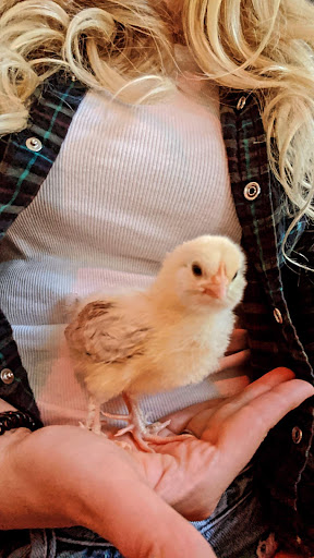 Animal Feed Store «Lomita Feed Store», reviews and photos, 24403 Narbonne Ave, Lomita, CA 90717, USA