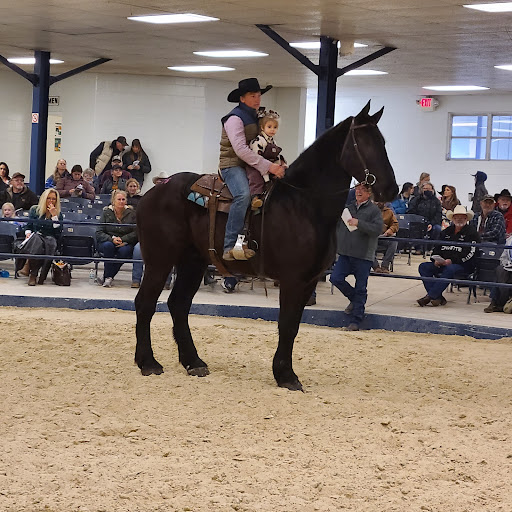 Event Venue «Southeastern Livestock Pavilion», reviews and photos, 2232 NE Jacksonville Rd, Ocala, FL 34470, USA