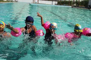 Khajan Singh Swimming club image