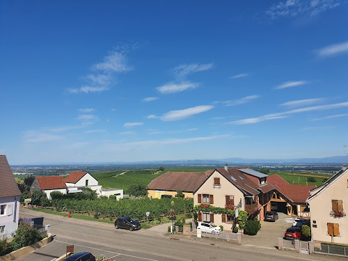 Vins Edouard Leiber à Husseren-les-Châteaux