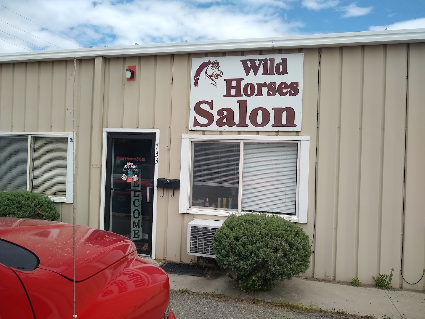 Wild Horses Salon