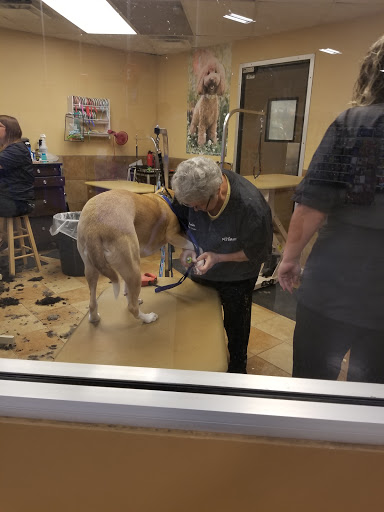 Pet Supply Store «PetSmart», reviews and photos, 24 Mountain Rd, Glen Burnie, MD 21060, USA