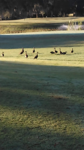 Country Club «Inverness Golf & Country Club», reviews and photos, 3150 S Country Club Dr, Inverness, FL 34450, USA