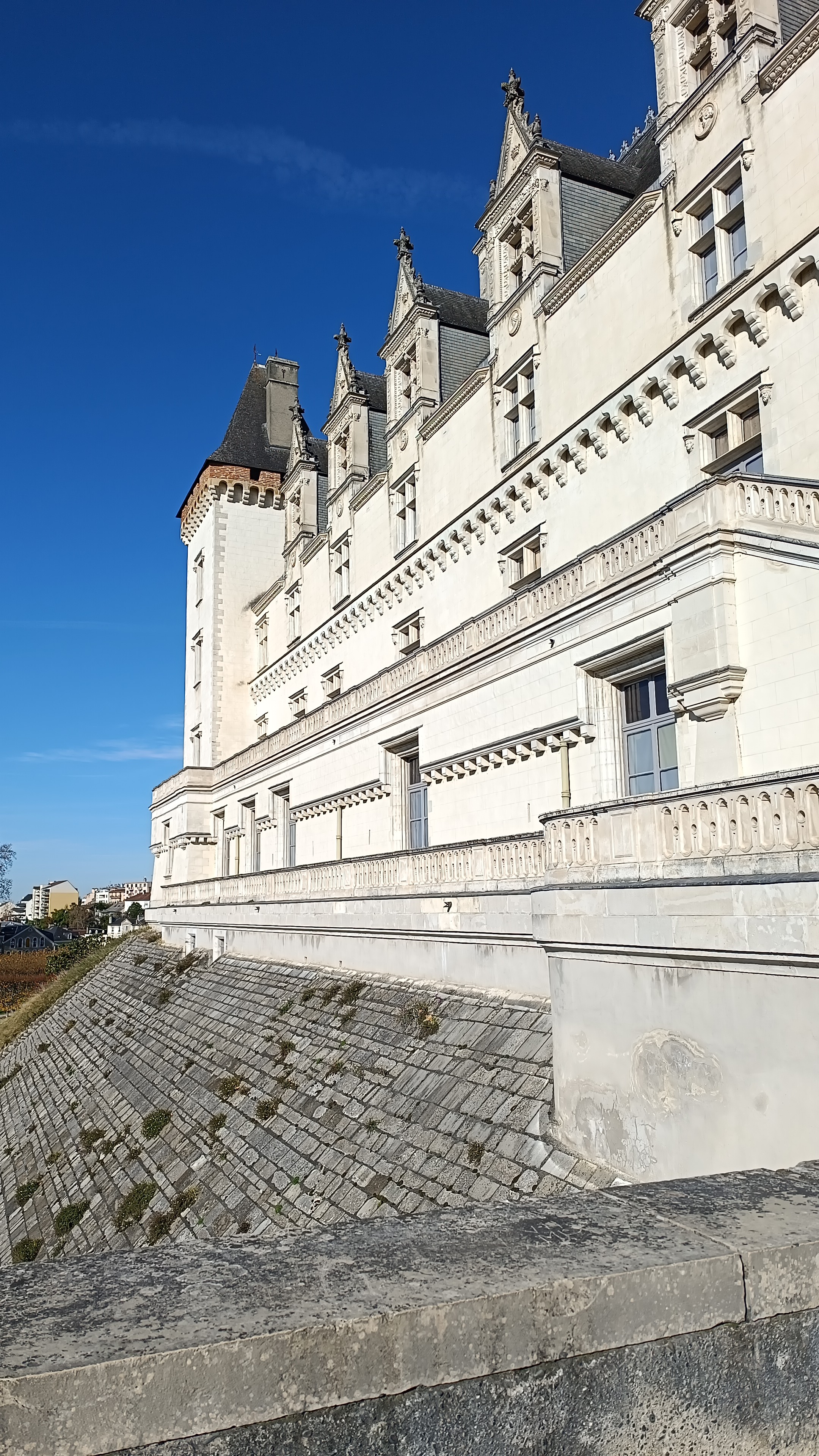 Photo n° 1 de l'avis de Regine.t fait le 19/11/2023 à 19:35