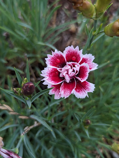 Shopping Mall «Olympic Village», reviews and photos, 5500 Olympic Dr NW, Gig Harbor, WA 98335, USA