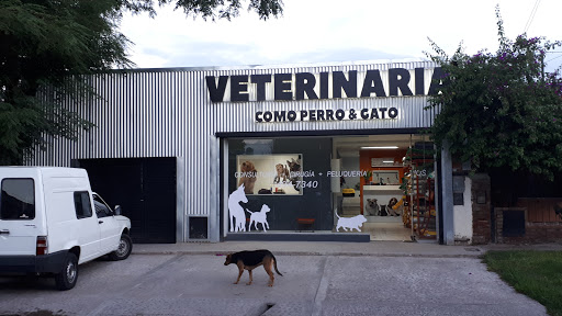 Veterinaria Como Perro y Gato