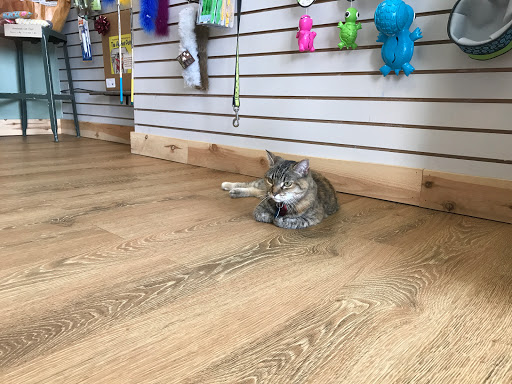Pet Supply Store «Pet Wants», reviews and photos, 321 S Ashland Ave, Lexington, KY 40502, USA